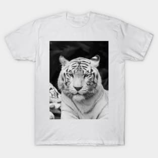 The White Prince Of Tigers T-Shirt